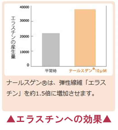 ナールスゲンのエラスチンへの効果のグラフ