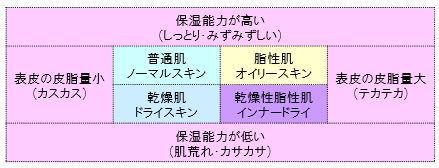 酵素洗顔に向く肌タイプを調べるための肌質分類表