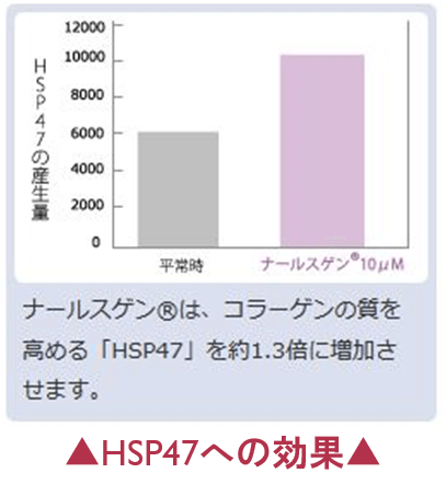 ナールスゲンのHSP47への効果のグラフ