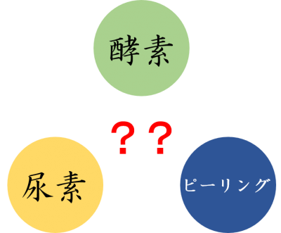 酵素と尿素とピーリングの関係性の図