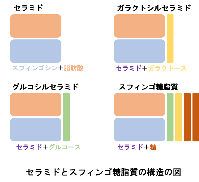 セラミドとスフィンゴ糖脂質の構造の図