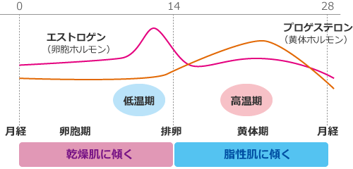 女性ホルモンの周期による増減の図