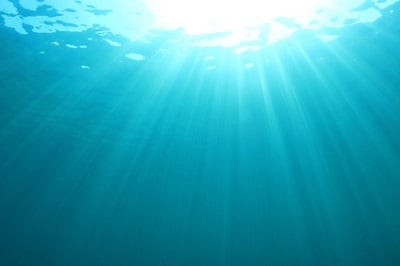 かつてのスクワランは深海鮫の肝油