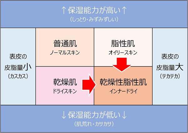 脂性肌から敏感肌やインナードライ肌への変化を表す図