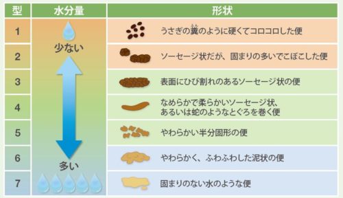 ブリストル便の形状をあらわす図