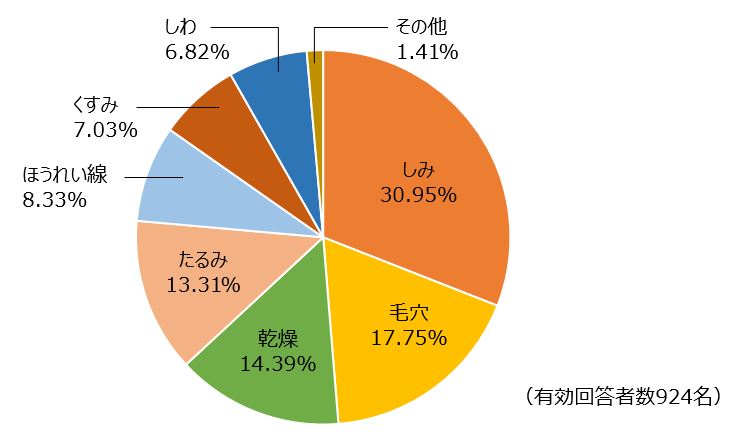 どんな肌の悩みを抱えていますか？最も気になるものを1つお選びください。