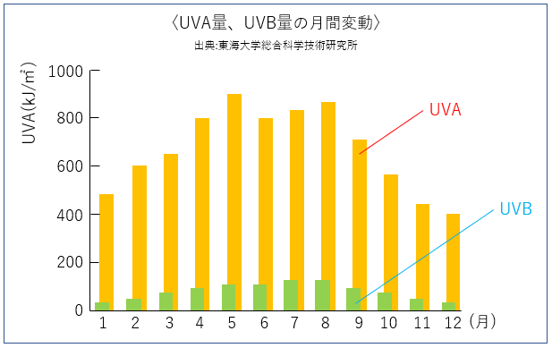 UVA量、UVB量の月間変動のグラフ