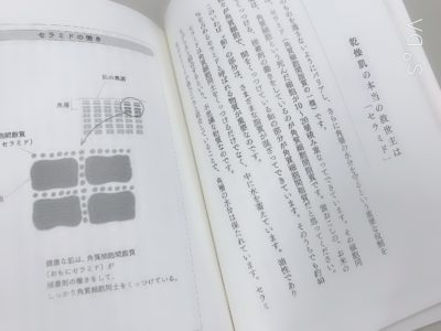 美人に化粧水はいらないの中面