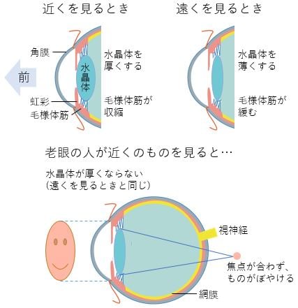 モノを見る目の仕組みのイラスト