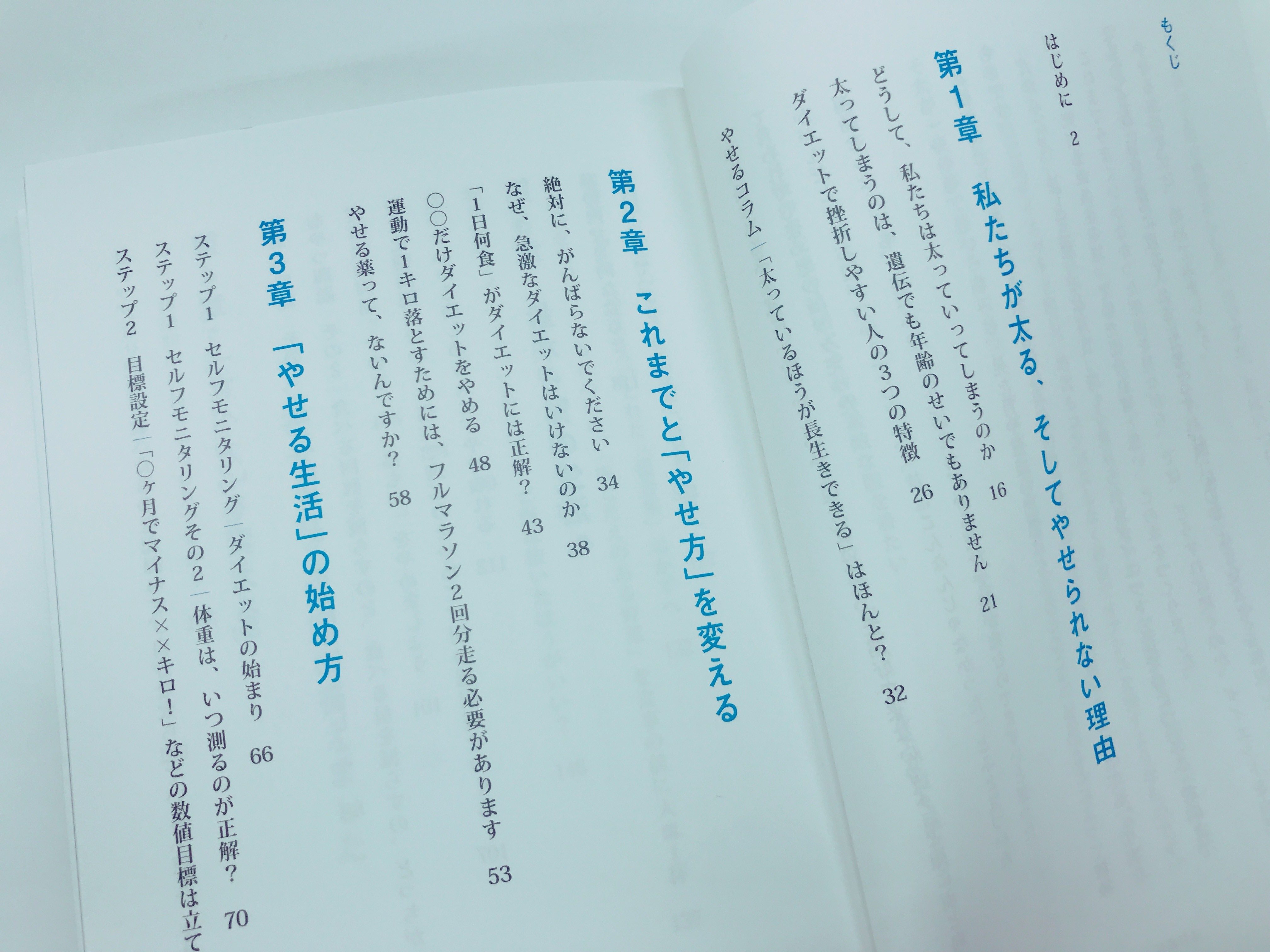 やせる生活の目次