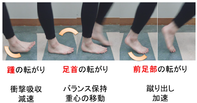 歩行中の足の動きと役割
