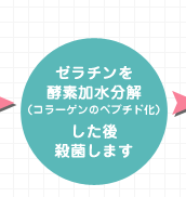 コラーゲンのペプチド化