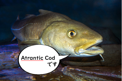 コラーゲンの原料の天然海水魚のタラ