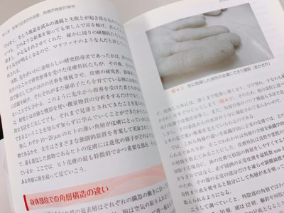 スキンケアの科学の第4章