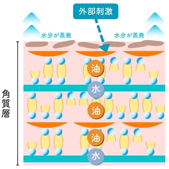 ラメラ構造が乱れた状態を表した図