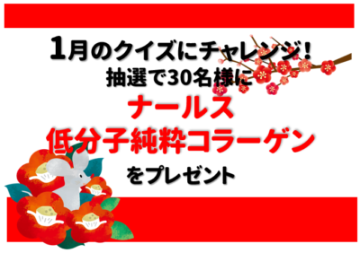 2020年1月クイズバナー