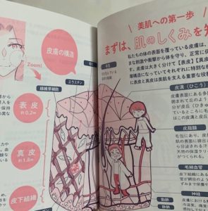 肌のしくみについての説明