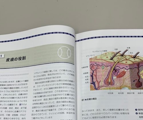 皮膚の役割のページ