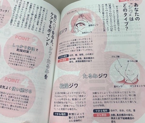 シワのタイプ紹介ページ