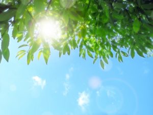 日光皮膚炎の原因になる紫外線