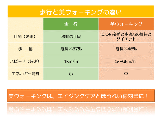 普通の歩行と美ウォーキングの違いを示す図