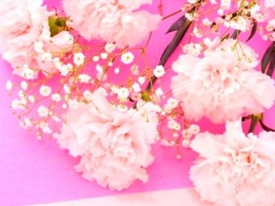 5月が旬のカーネーションの花