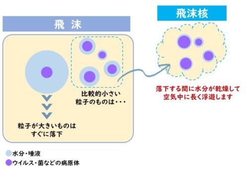 飛沫と飛沫核の違いを示す図