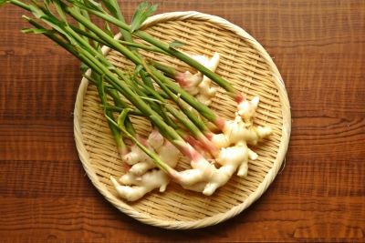 6月が旬の野菜の新しょうが