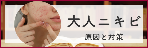 大人ニキビの原因と対策の全てがわかる！|エイジングケア化粧品のナールス