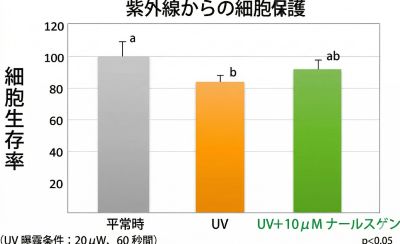 ナールスゲンの紫外線からの細胞保護作用のグラフ