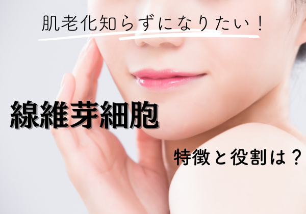 肌老化知らずの肌の女性