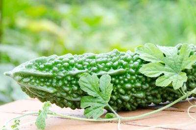 7月が旬の野菜「ゴーヤ」