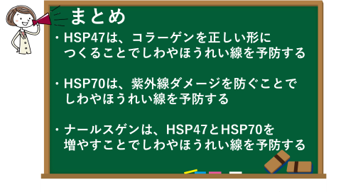 HSP(ヒートショックプロテイン)でシワやほうれい線が予防できる！のまとめ
