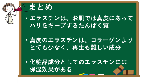 エラスチンのまとめ