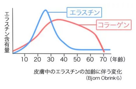 コラーゲン、エラスチン産生量の加齢に伴う変化の図