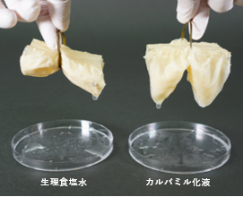 湯葉を使ったカルバミル化現象のイメージ