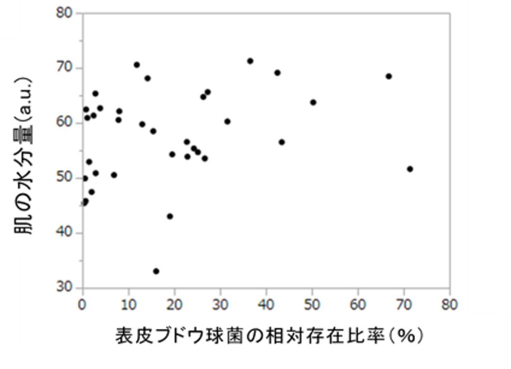 表皮ブドウ球菌の存在とお肌の水分量の関係の図