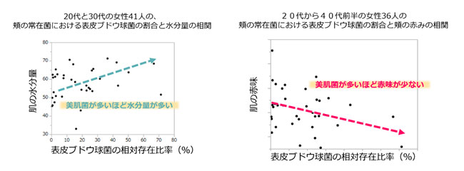頬の常在菌における表皮ブドウ吸気の割合と水分量の相関の図