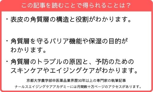 この記事を読むことで得られること