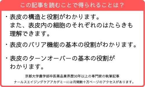この記事を読むことで得られること