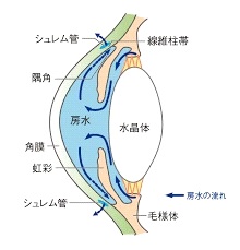 眼圧が下がる仕組みの図