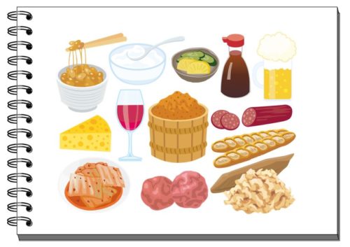 オススメの発酵食品