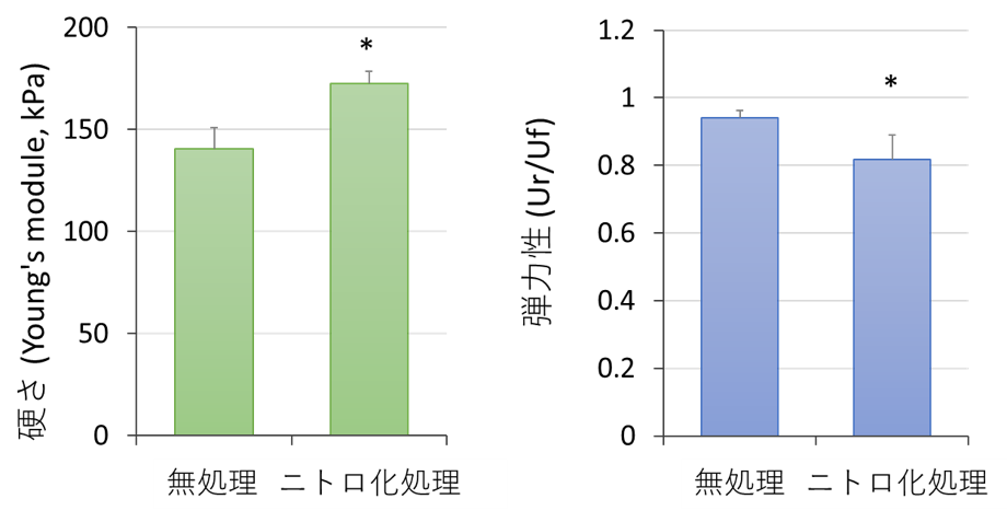 ニトロ化したエラスチンの硬さと弾力性