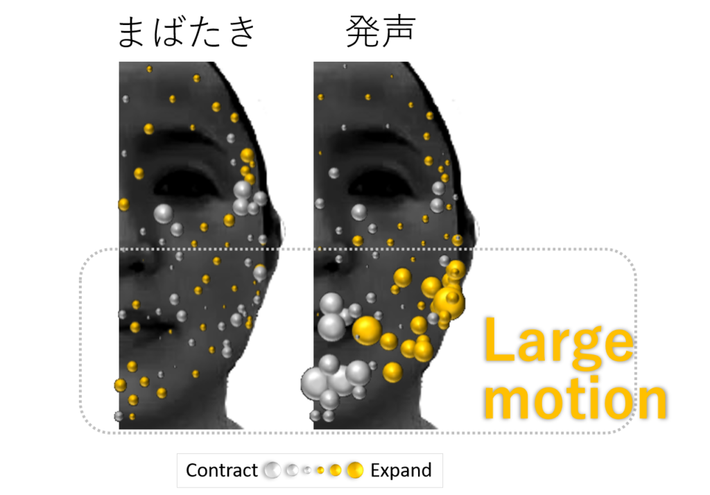 顔の動きと皮膚細胞のサイズの関連性