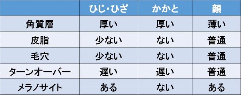 ひじ・ひざ・かかと・顔の特徴の表