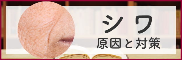 シワの原因と対策を表すバナー