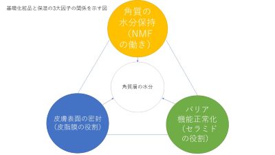 基礎化粧品と保湿の3大因子の関係を示す図