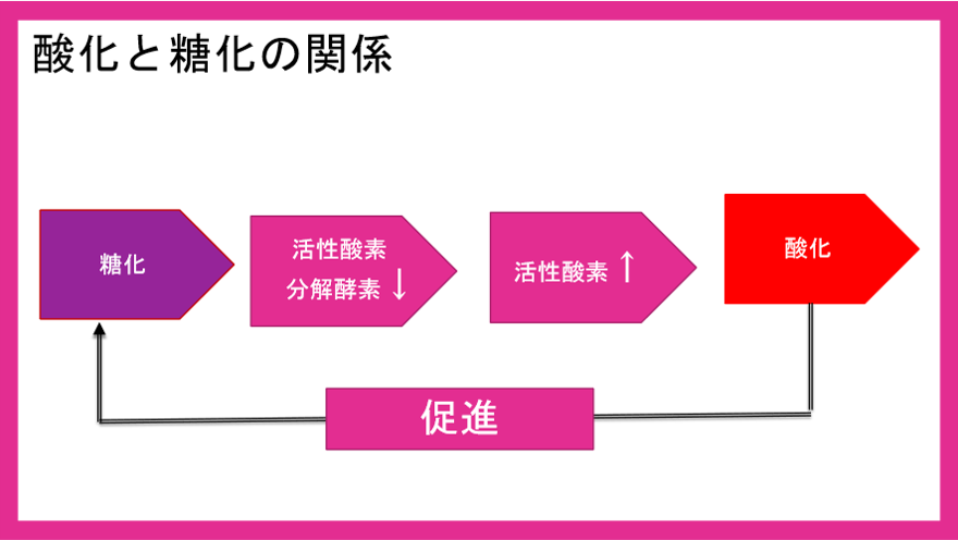 酸化と糖化の関係を表した図