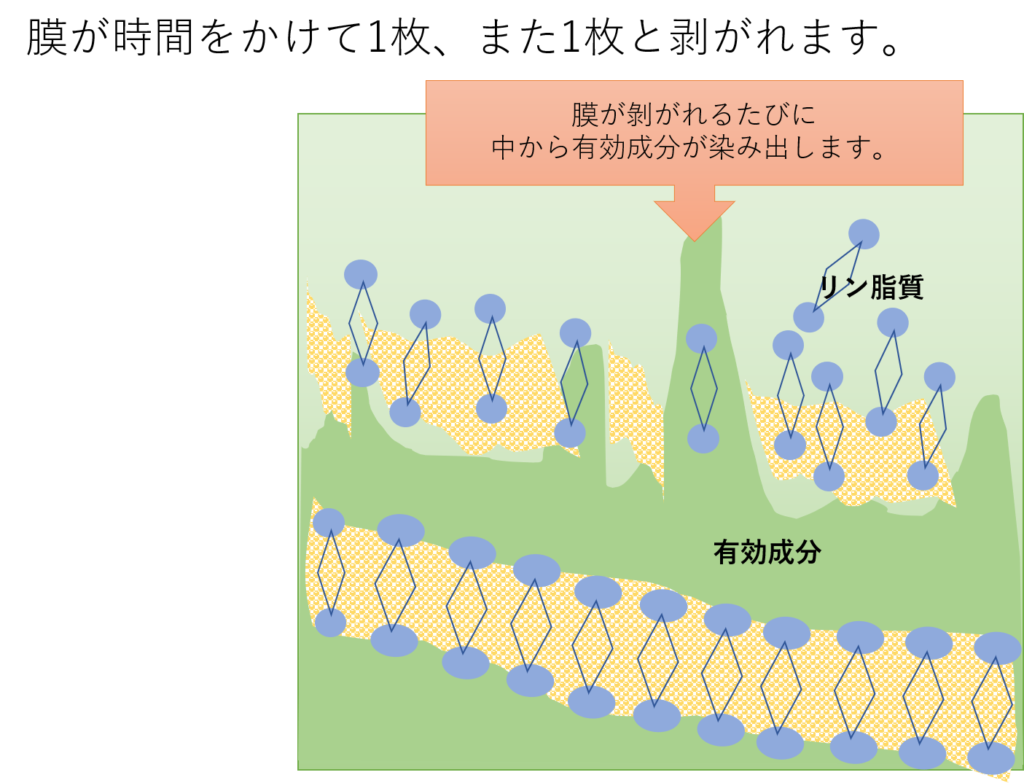 リポソーム化で成分がゆっくり溶け出す様子の図