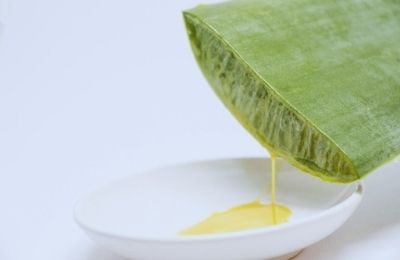 化粧品成分にもなるアロエベラの葉